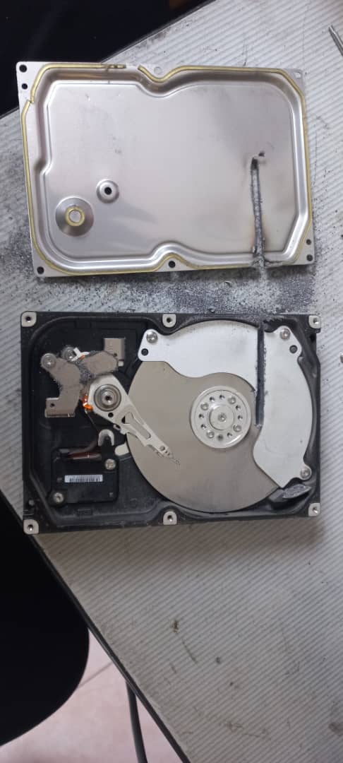 WhatsApp Image 2026-01-10 at 10.09.32 AM